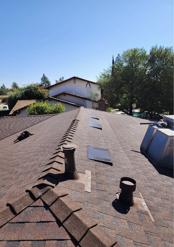 Residential roof with vents and skylights