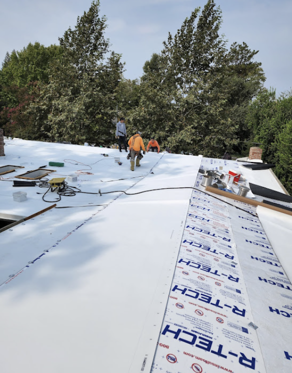 Roofline & Gutter System